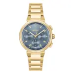 Hugo Boss Quartz Grå/Guld 38 mm