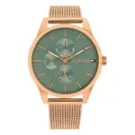Tommy Hilfiger Camille Quartz Mesh Grön