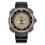 Citizen Solar Brun