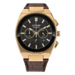 Citizen Solar Svart/Brun 43 mm